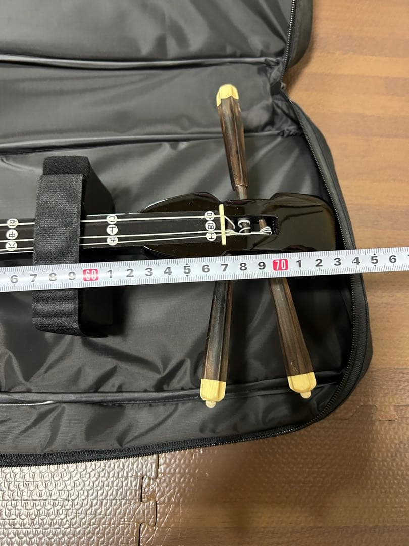 紫色ハイビスカス三味線