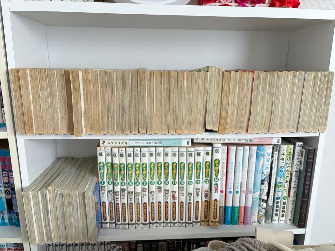 ちはやふる　1-50 全巻セット 少女漫画 講談社