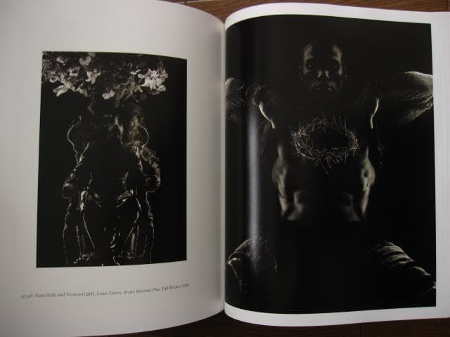 Nick Knight　Harper Design　ニック・ナイト