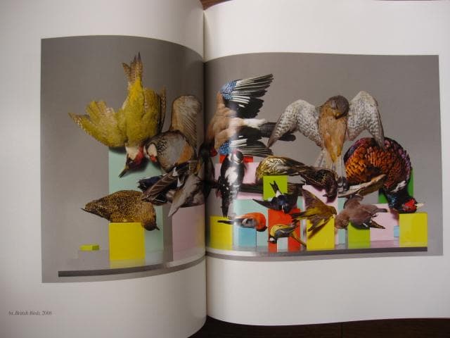 Nick Knight　Harper Design　ニック・ナイト