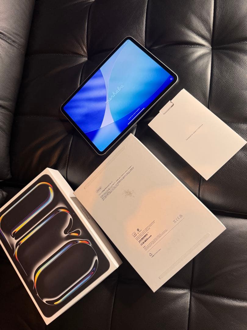 iPad本体 iPad Pro (M4) 11 inch Wi-Fi 256GB(A2836)