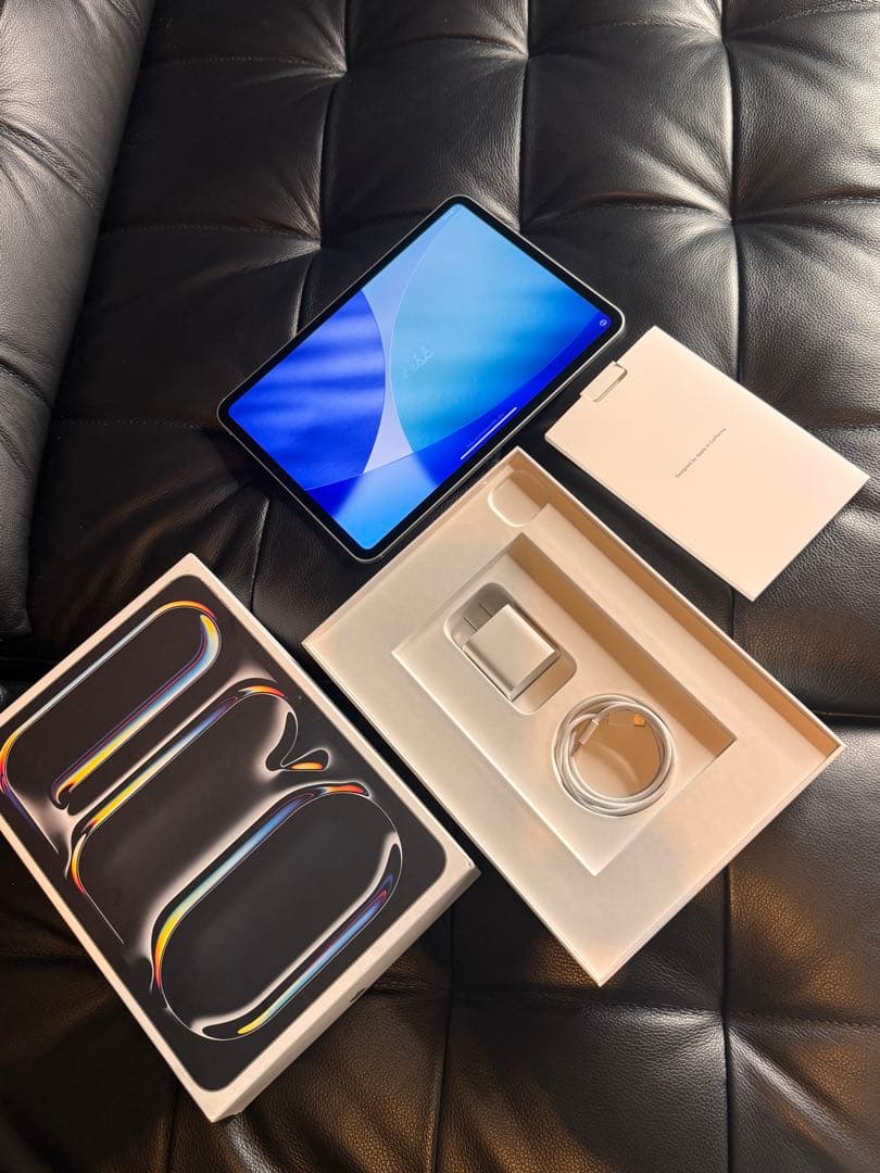 iPad本体 iPad Pro (M4) 11 inch Wi-Fi 256GB(A2836)