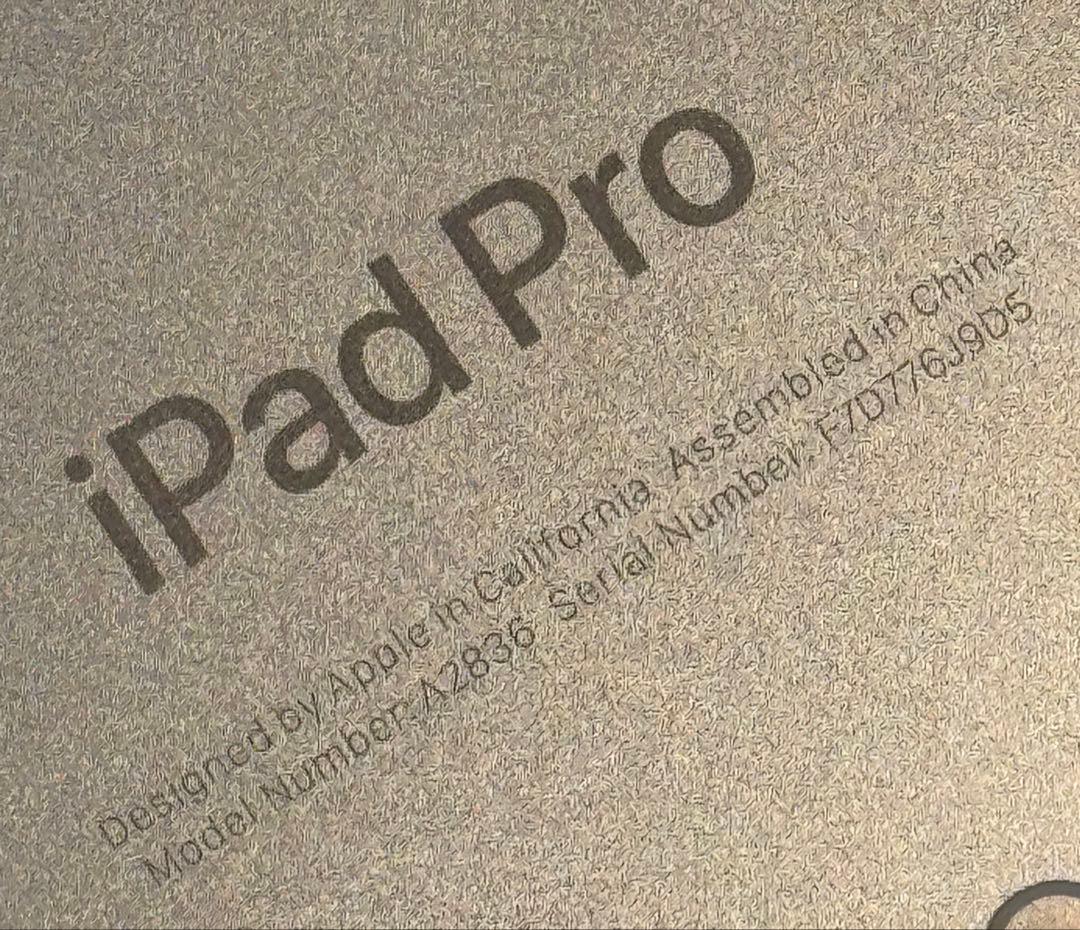 iPad本体 iPad Pro (M4) 11 inch Wi-Fi 256GB(A2836)