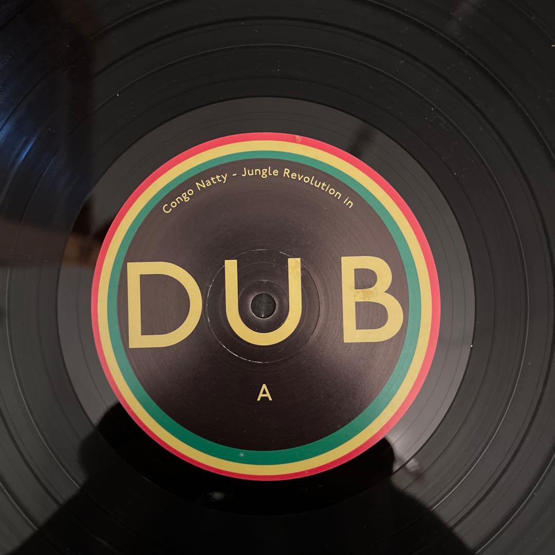 洋楽 Congo Natty Jungle Revolution in Dub