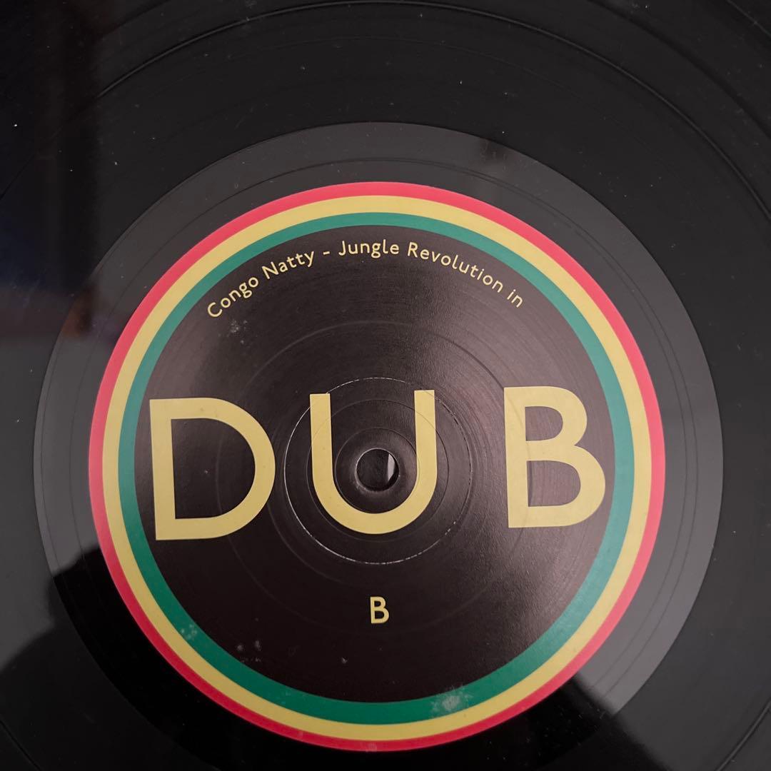 洋楽 Congo Natty Jungle Revolution in Dub