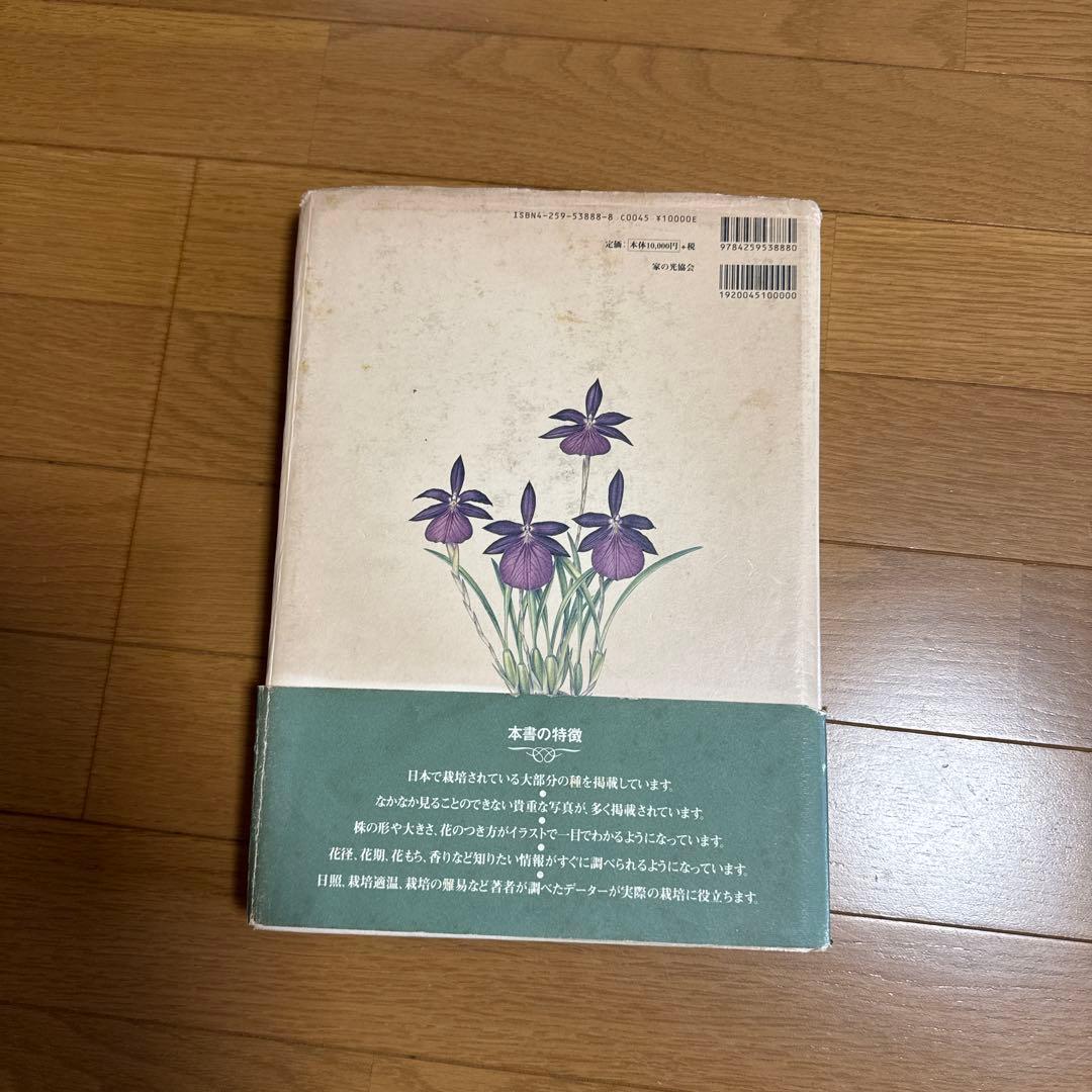 原種洋蘭大図鑑