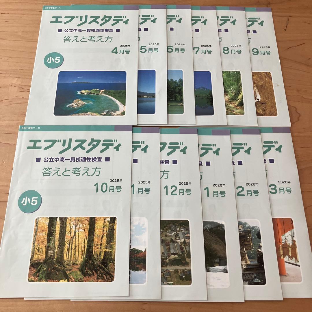 Z会　エブリスタディ 小5 公立中高一貫校適性検査　作文　問題集　中学受験