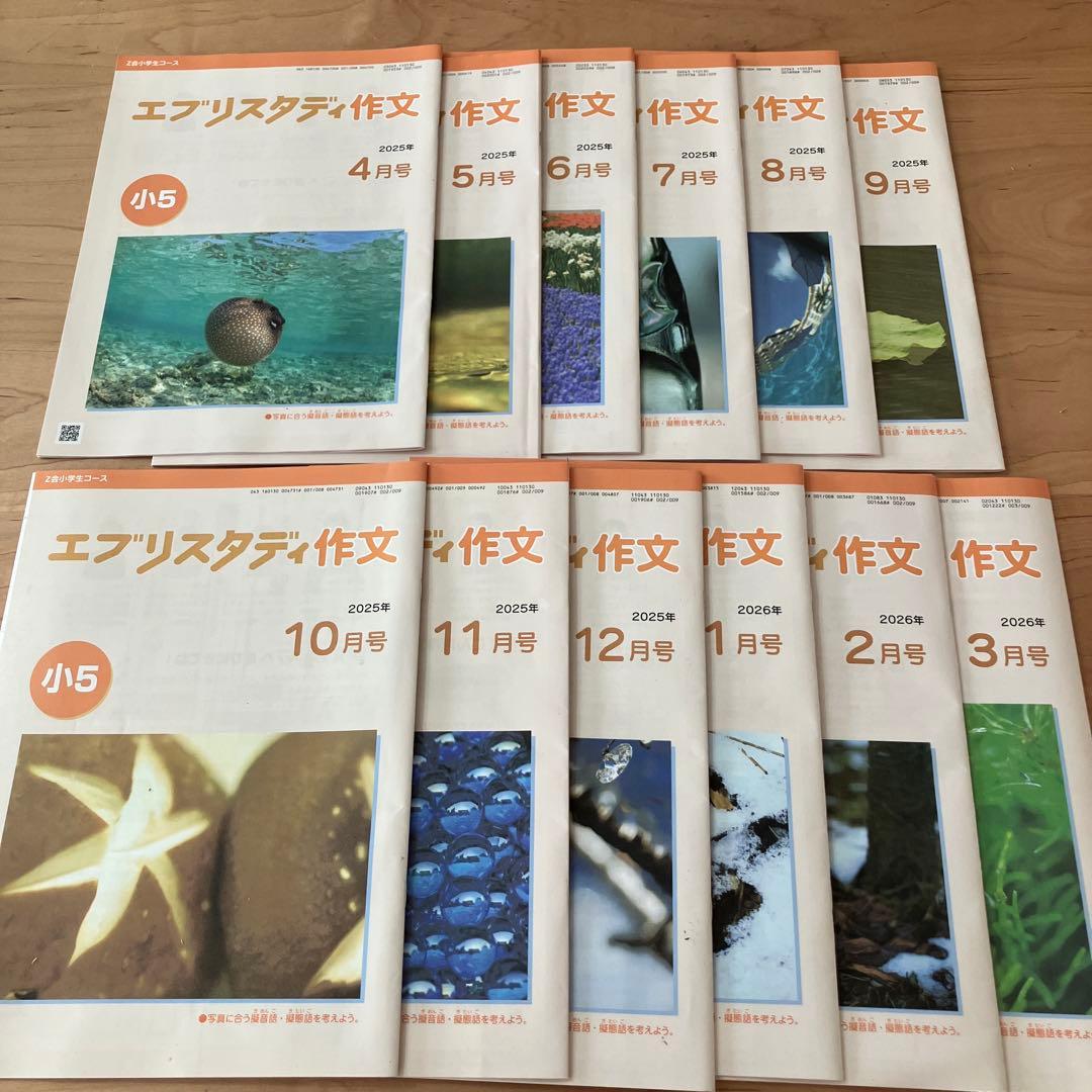 Z会　エブリスタディ 小5 公立中高一貫校適性検査　作文　問題集　中学受験