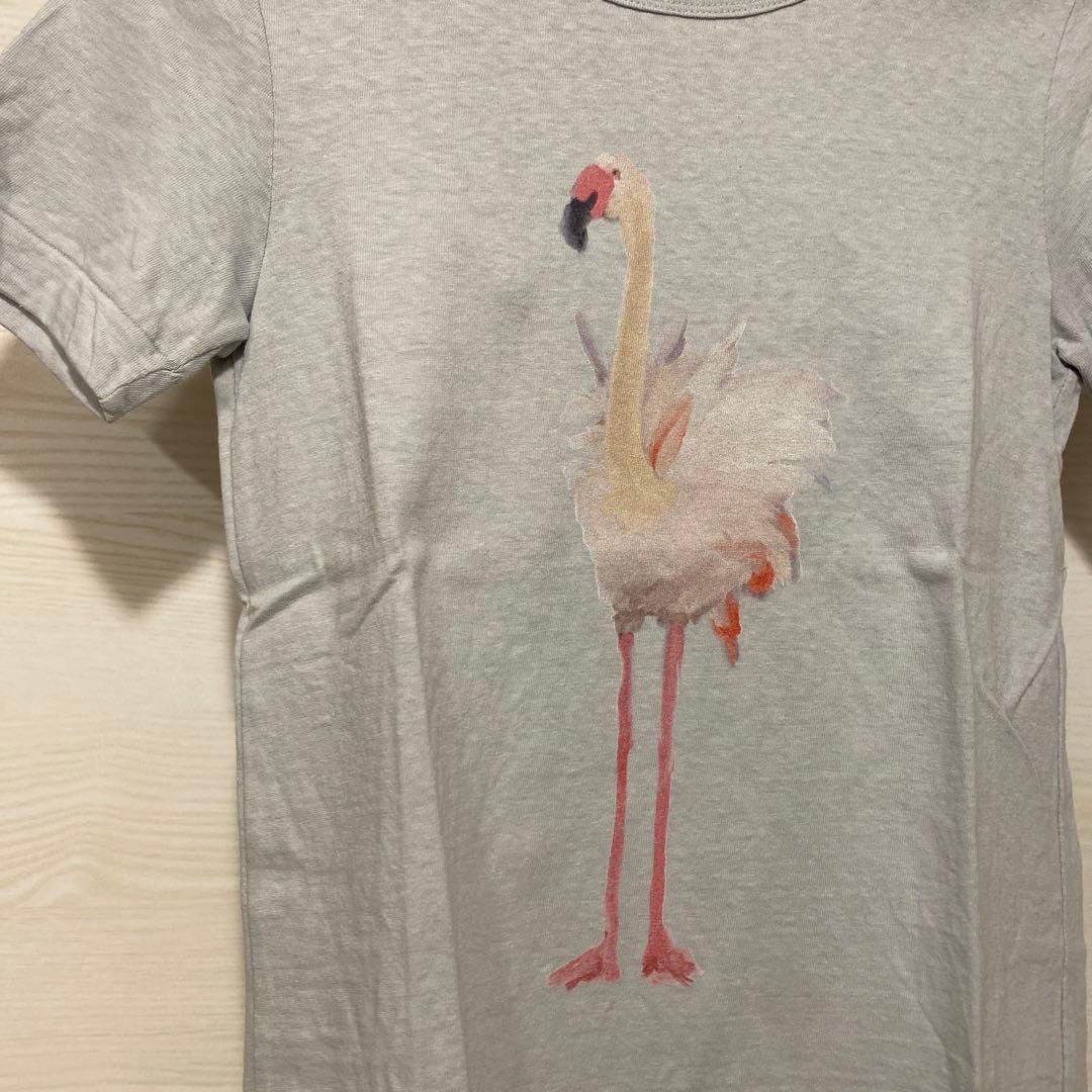 R&D.M.Co- オールドマンズテーラー コマーシャルTシャツ フラミンゴ