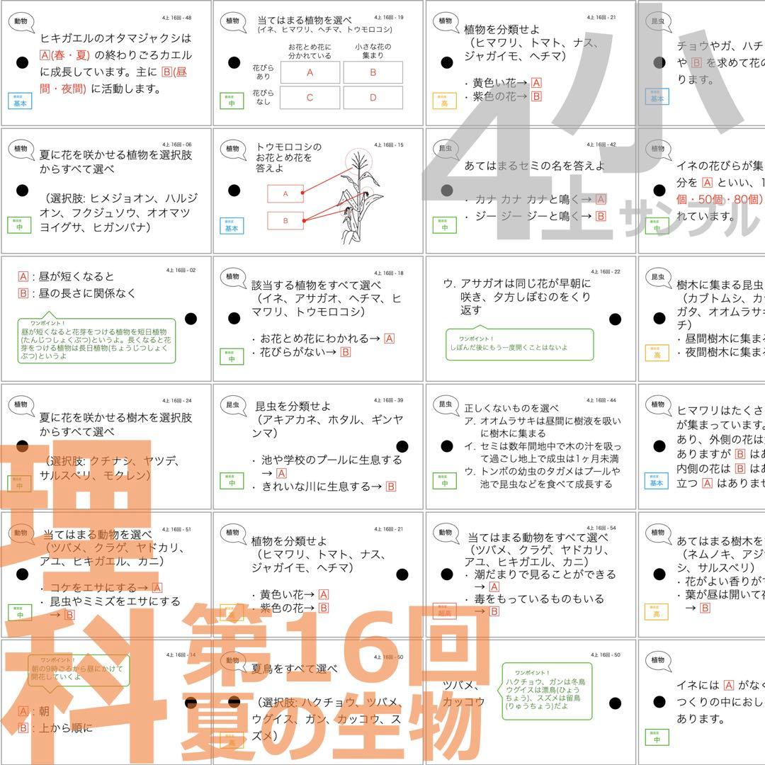 中学受験 暗記カード【4年上 社会・理科 6-19回】組分けテスト対策 予シリ