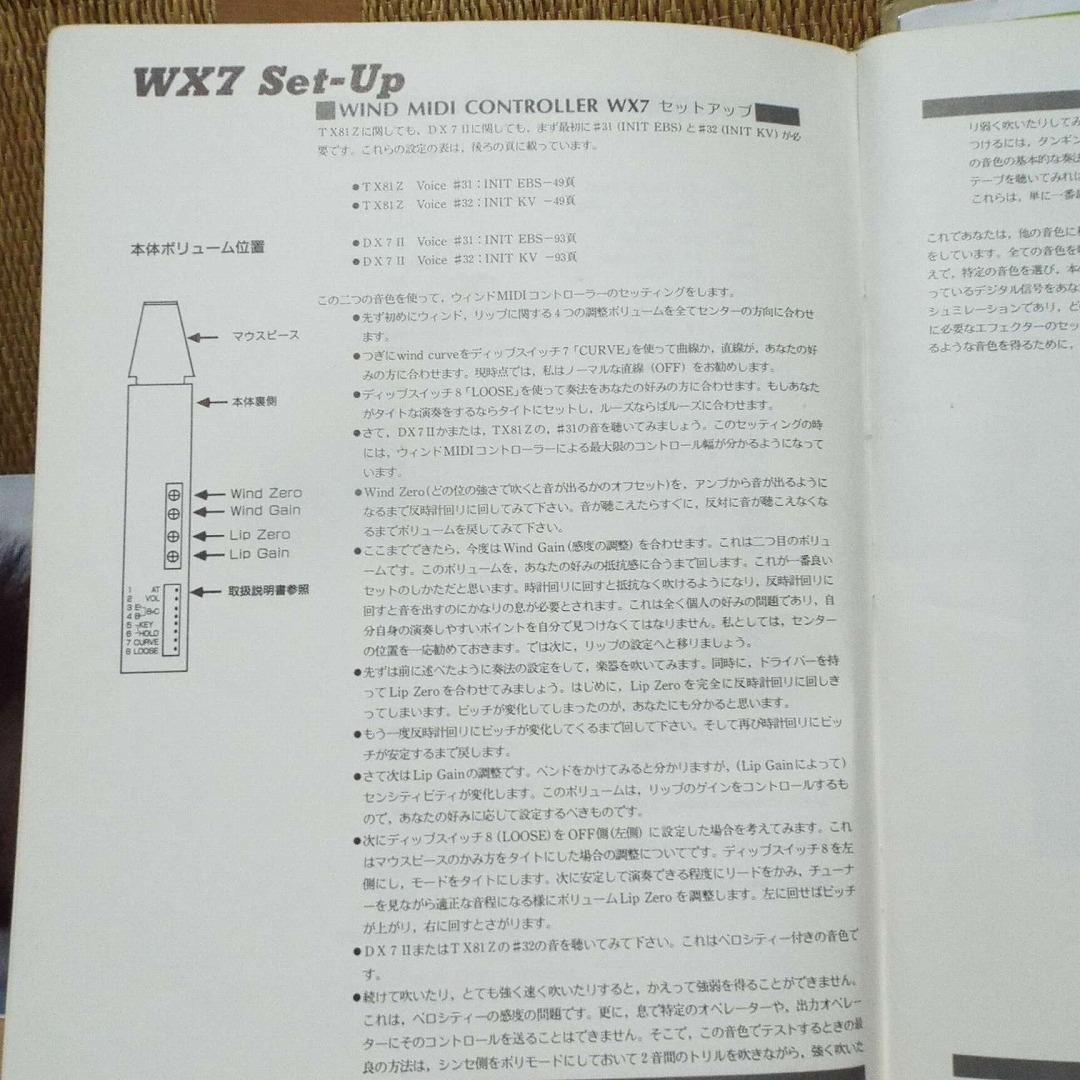 貴重_WX7対応_FM_SOUND_SIMULATION_SAL-GALLINA