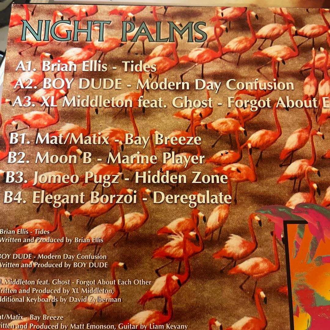 NIGHT PALMS LP レコード