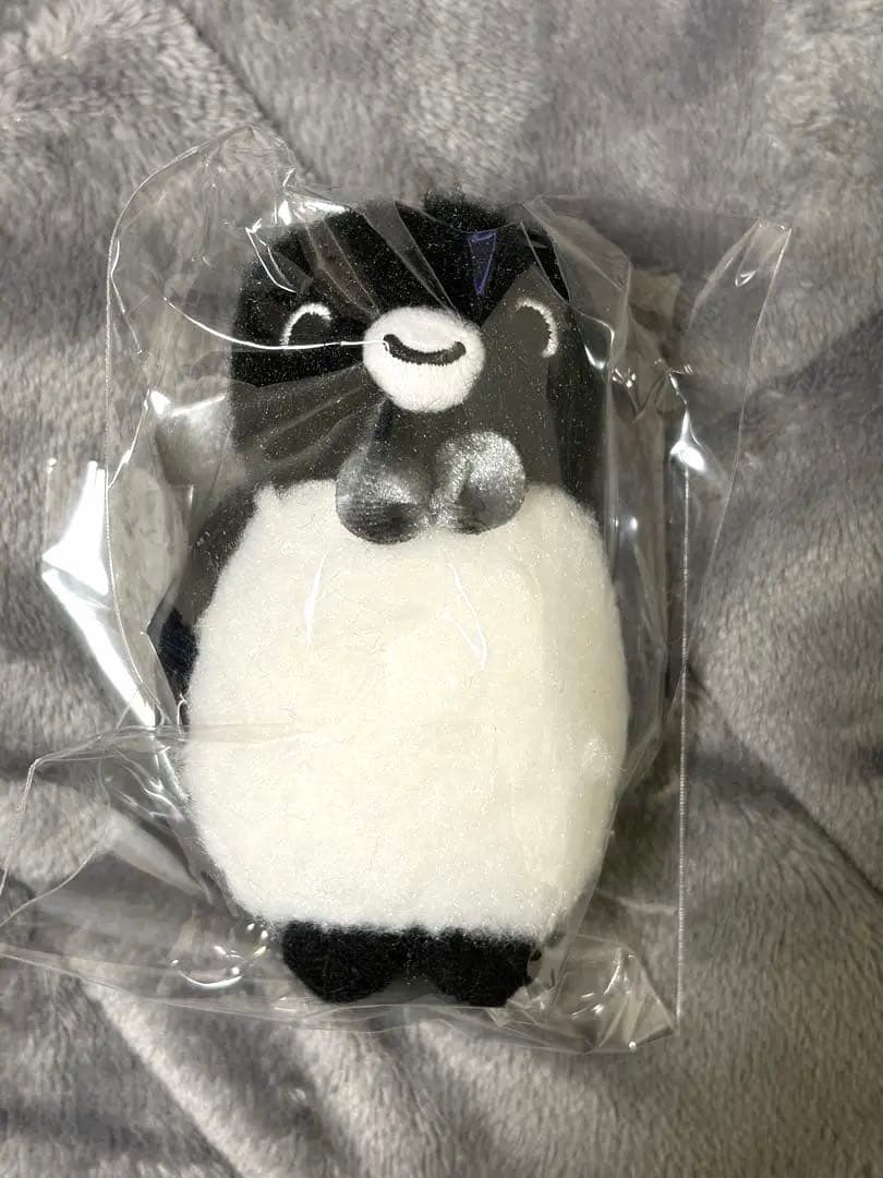 Suica ペンギン　ぬいぐるみとストラップ　バースデイバーコラボ