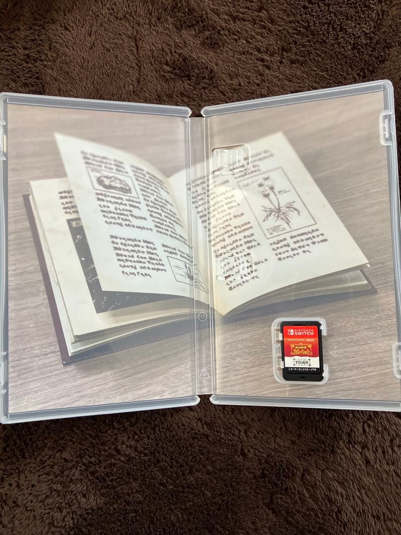 ポケットモンスター スカーレット Switch