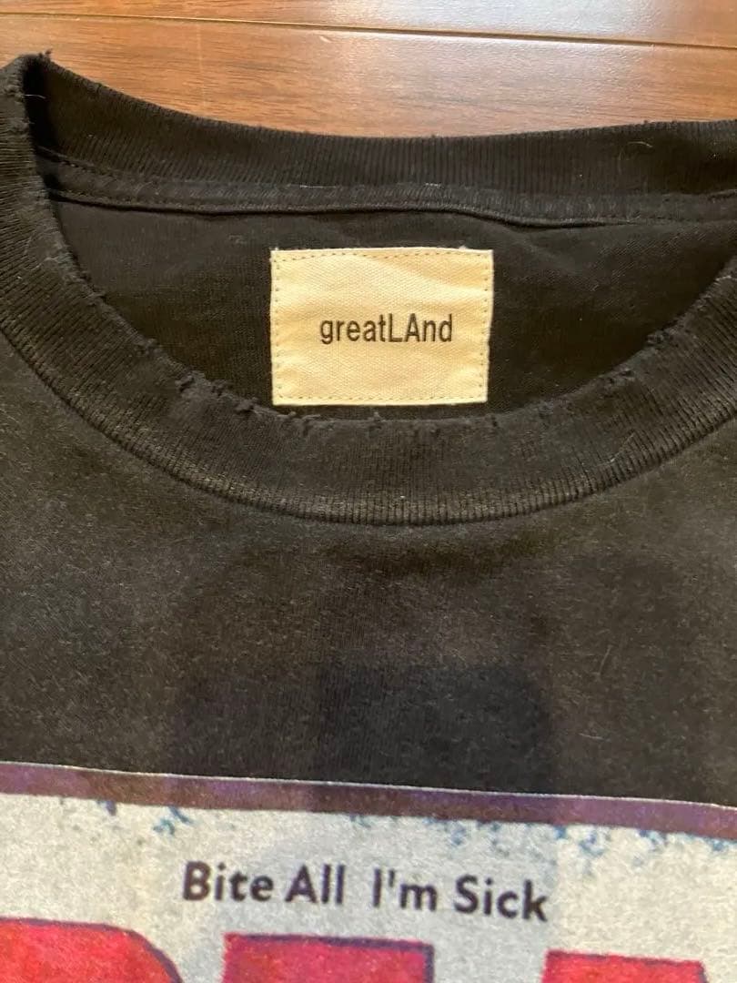 美品greatland original tシャツ