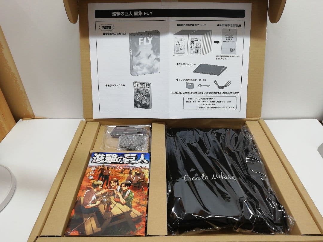 進撃の巨人 画集 FLY 3-0219-4