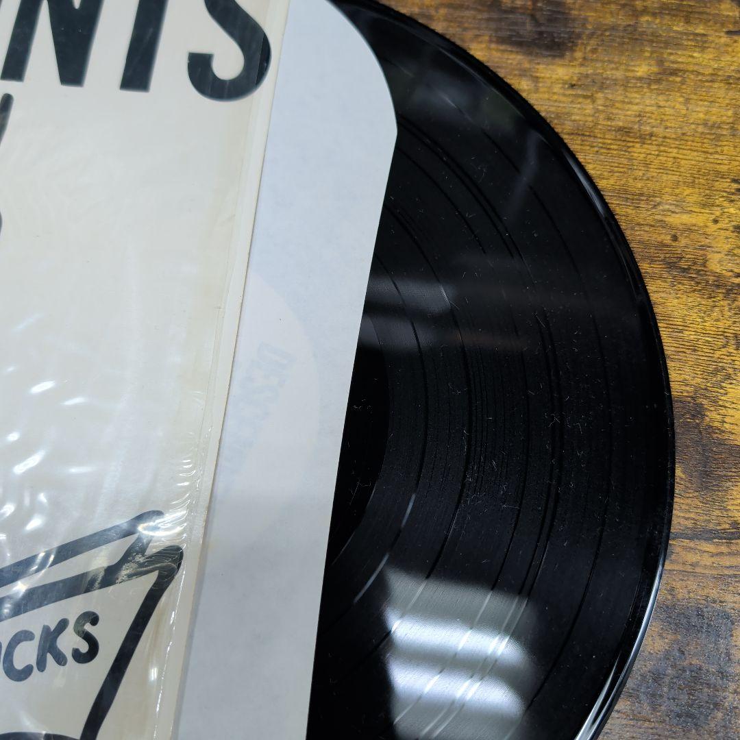 ​名盤LP Descendents Everything Sucks レコード