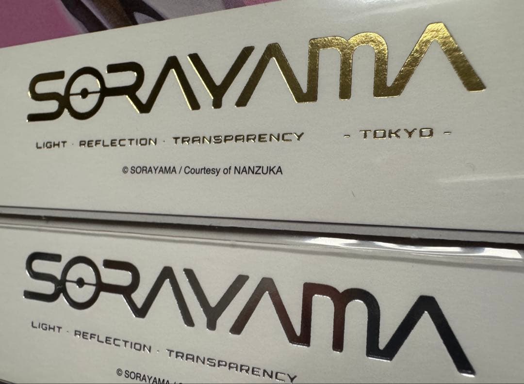 空山基 SORAYAMA THE GYNOIDS SUBLIME画集&ポスター