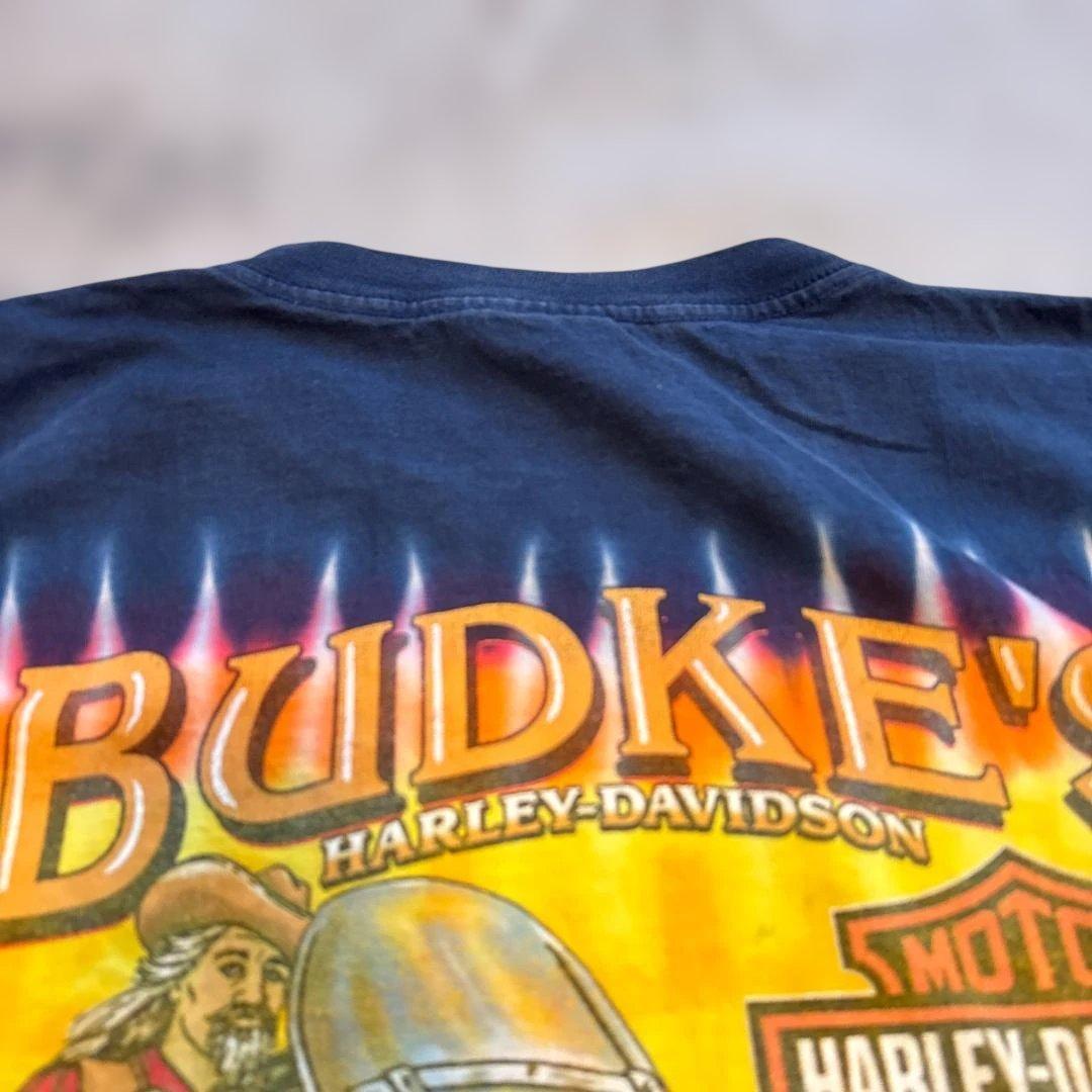 HARLEY-DAVIDSO　USA製　希少！　シングルステッチTシャツ　L