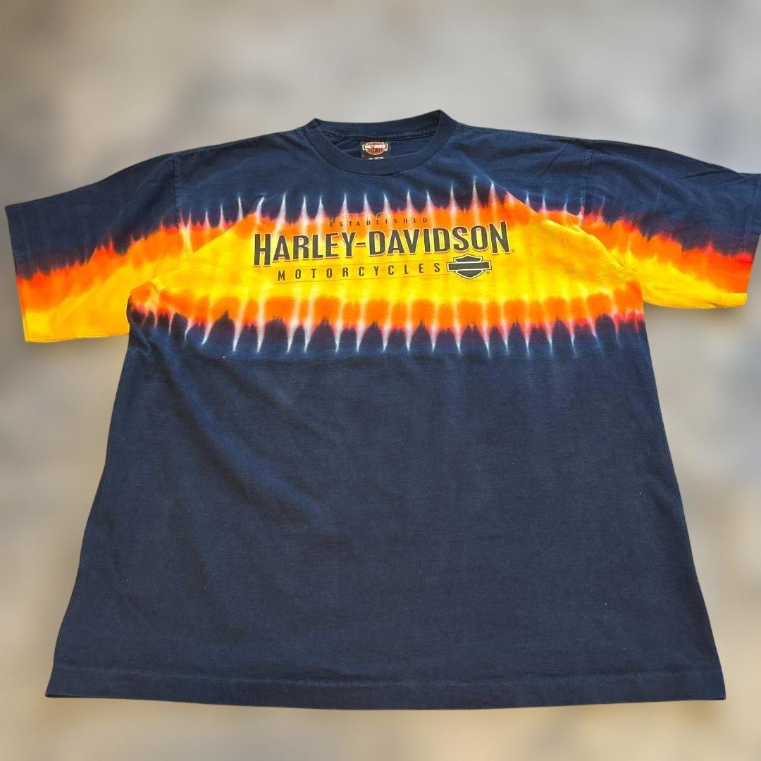HARLEY-DAVIDSO　USA製　希少！　シングルステッチTシャツ　L