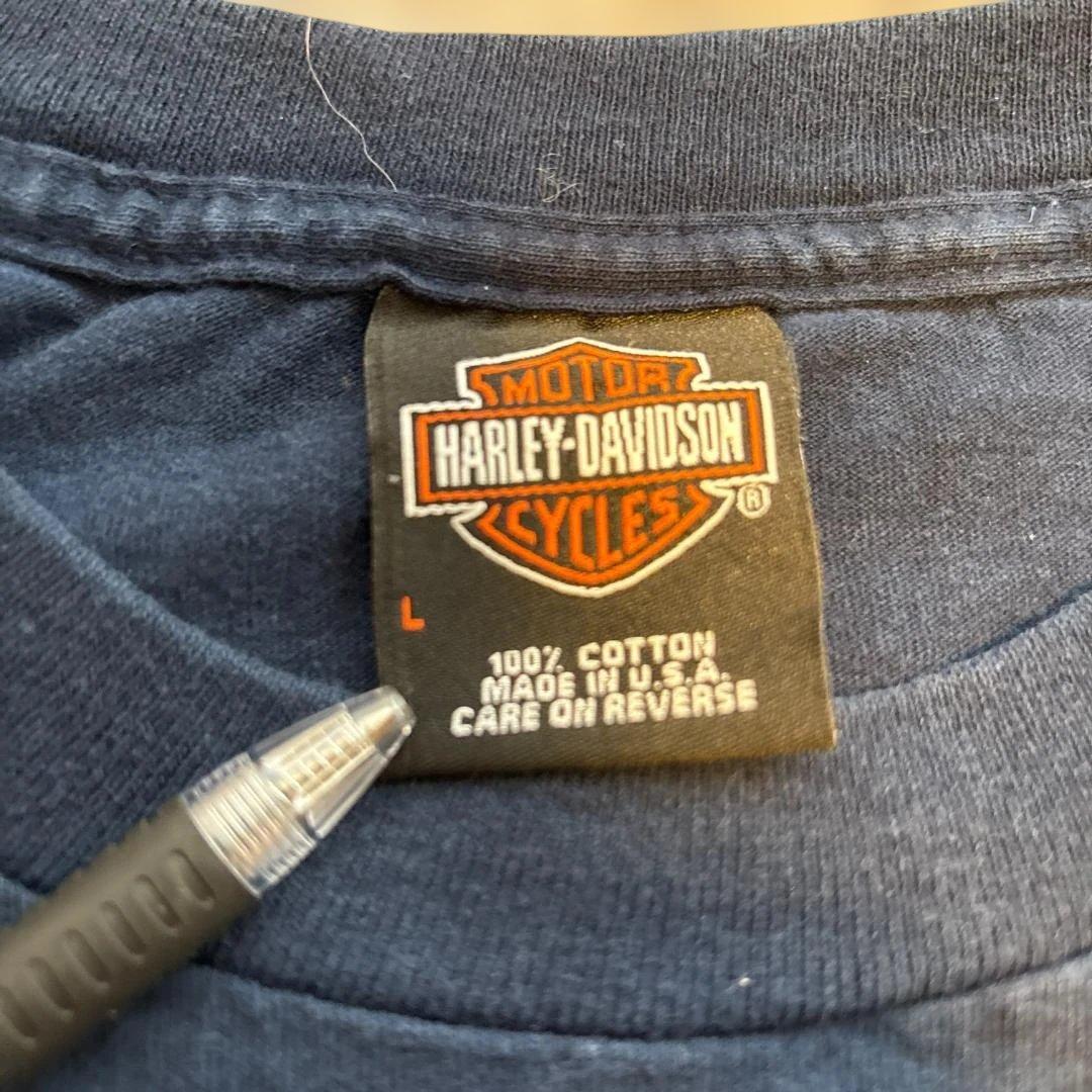 HARLEY-DAVIDSO　USA製　希少！　シングルステッチTシャツ　L
