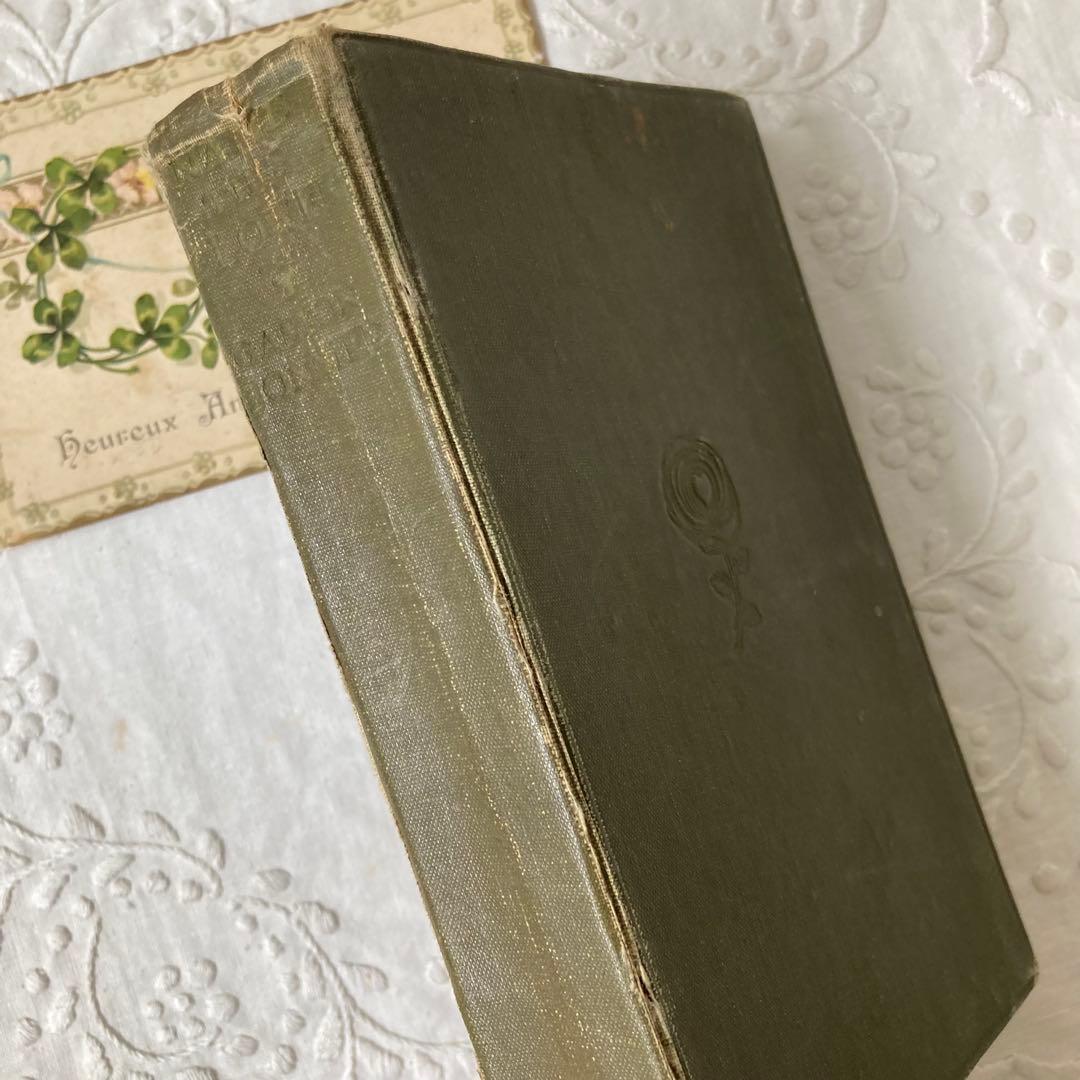 L932 洋書古書　1925年発行　繊細な植物画が美しいアンティーク植物図鑑