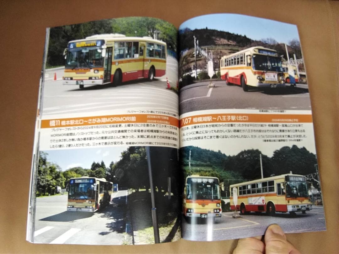 紅*梅様 津久井の消えた路線・消えゆく路線めぐり 神奈中富士急山梨バス京王バス西