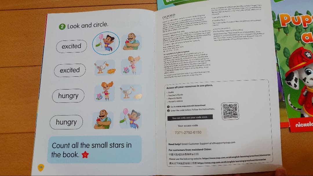 【美品】パウ・パトロール 英語絵本セット 20冊入り
