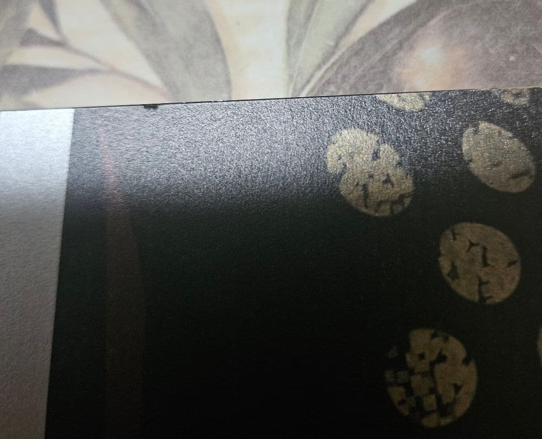 千客万雷 LAM画集 いかづち 特装版