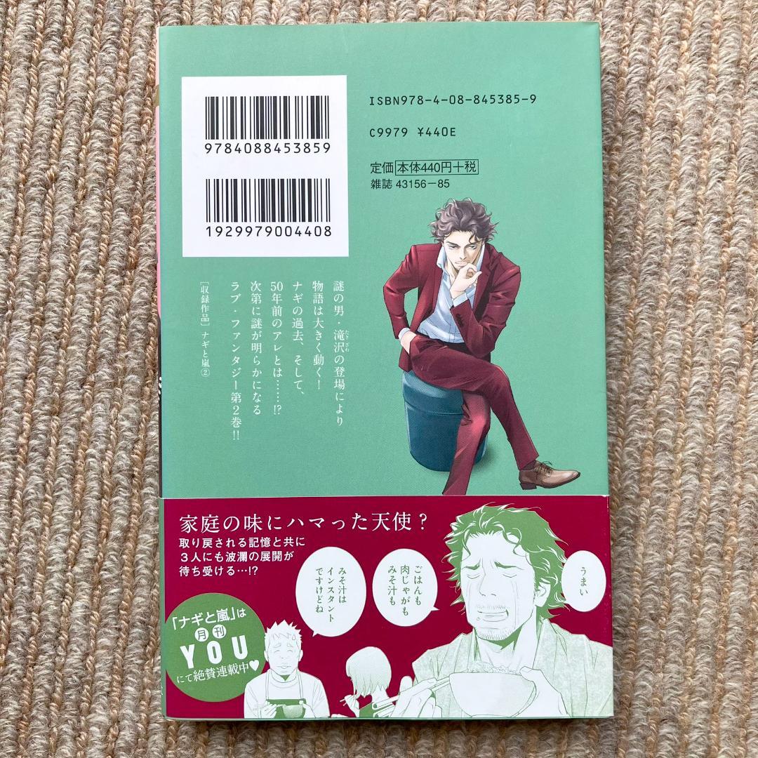 【全巻】 ナギと嵐　全3巻　もんでんあきこ