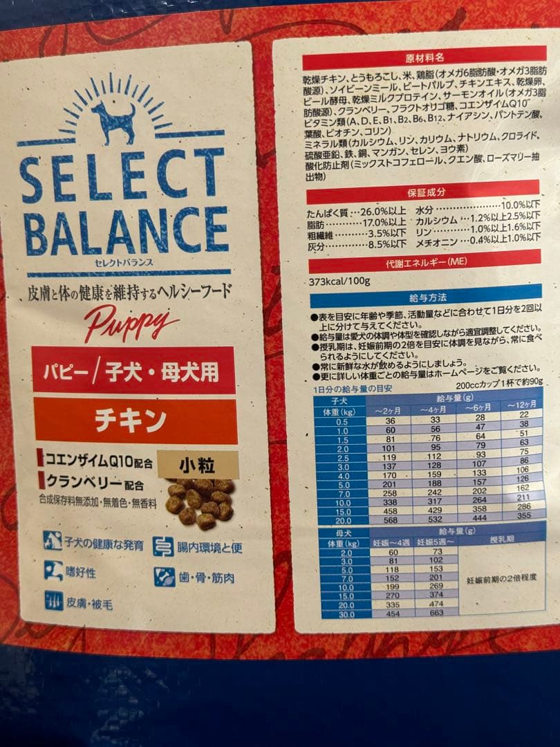 カズ