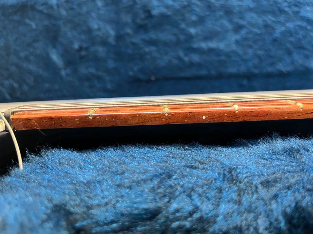 【たく】Rickenbacker 330 2000年製