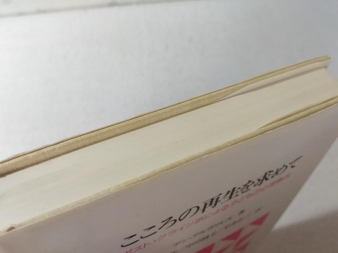 こころの再生を求めて ポスト・クライン派による子どもの心理療法 ■3800/