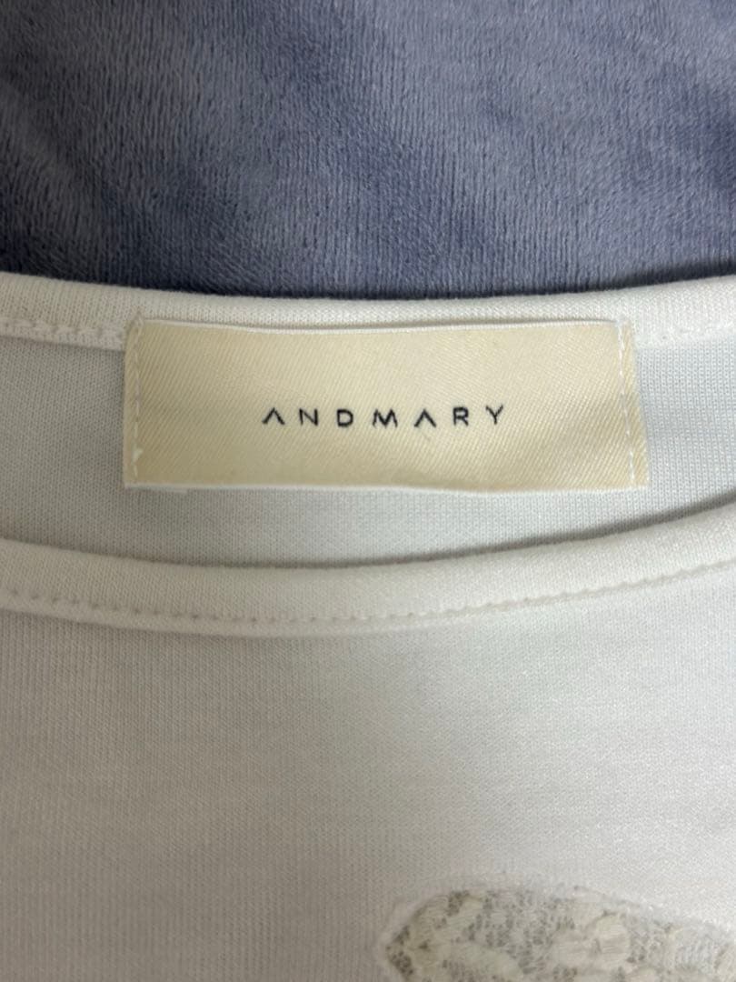 Andmary Nini lace tops 半袖 Butterfly 蝶々