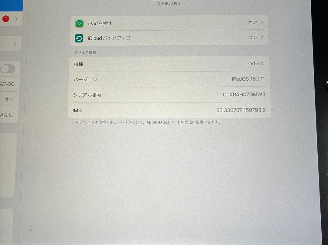 iPad Pro 12.9㌅最大容量100%