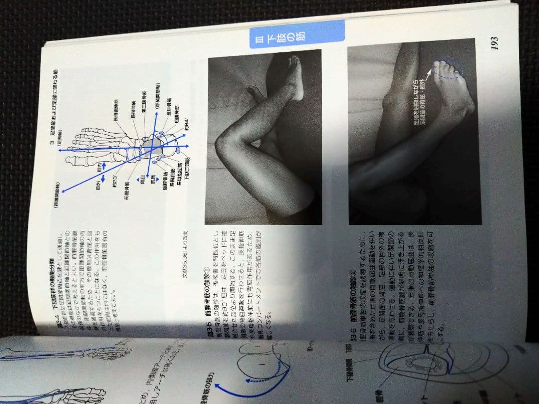 新人　理学療法士　作業療法士　整形外科ナビゲーション　触診技術2冊セット　まとめ