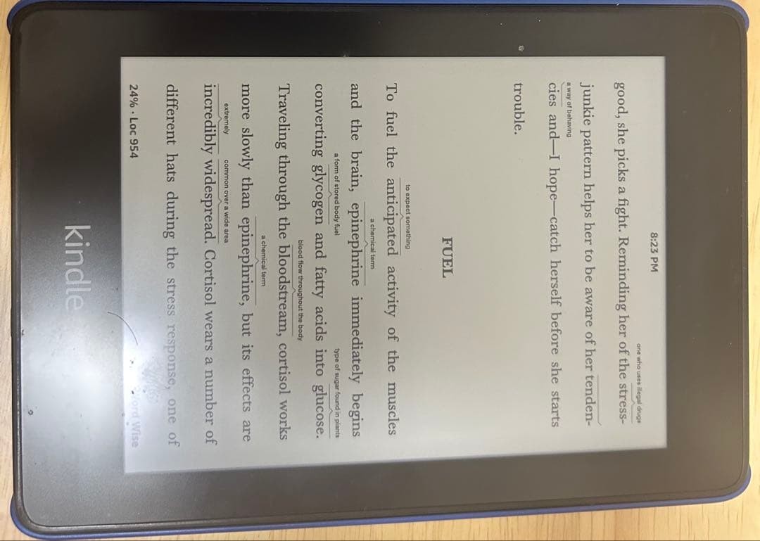 Kindle Paperwhite 第10世代 8GB Wi-Fi 目立つ傷なし