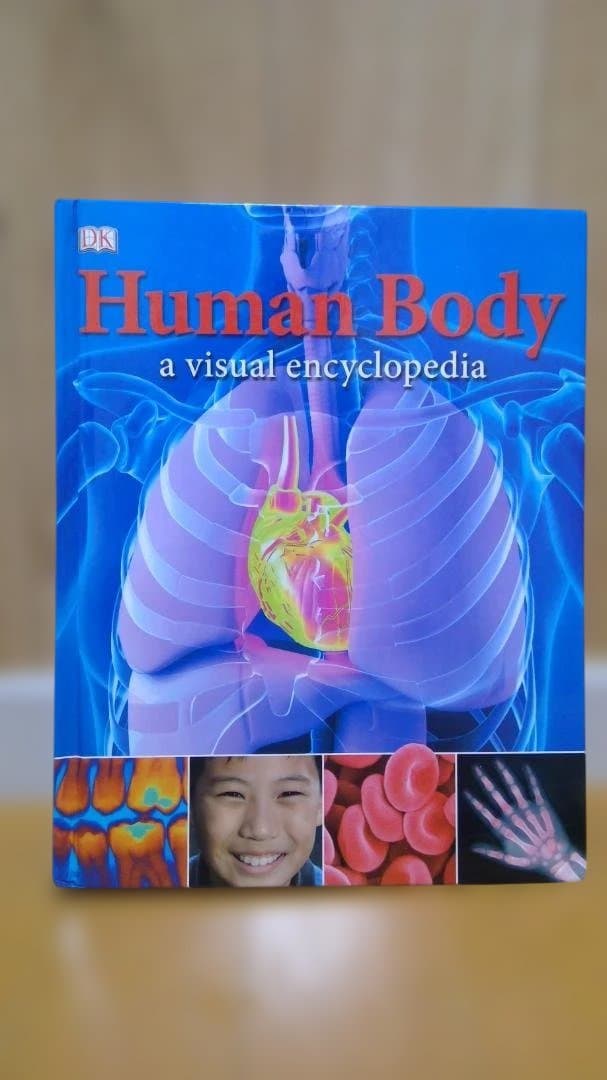 洋書 Visual encyclopedia