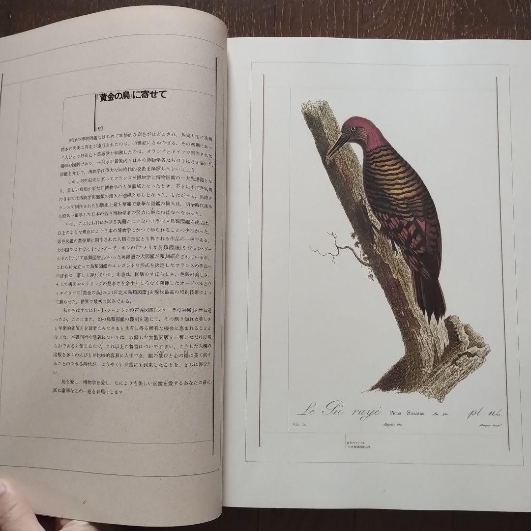黄金の鳥　荒俣宏　1986 リブロポート