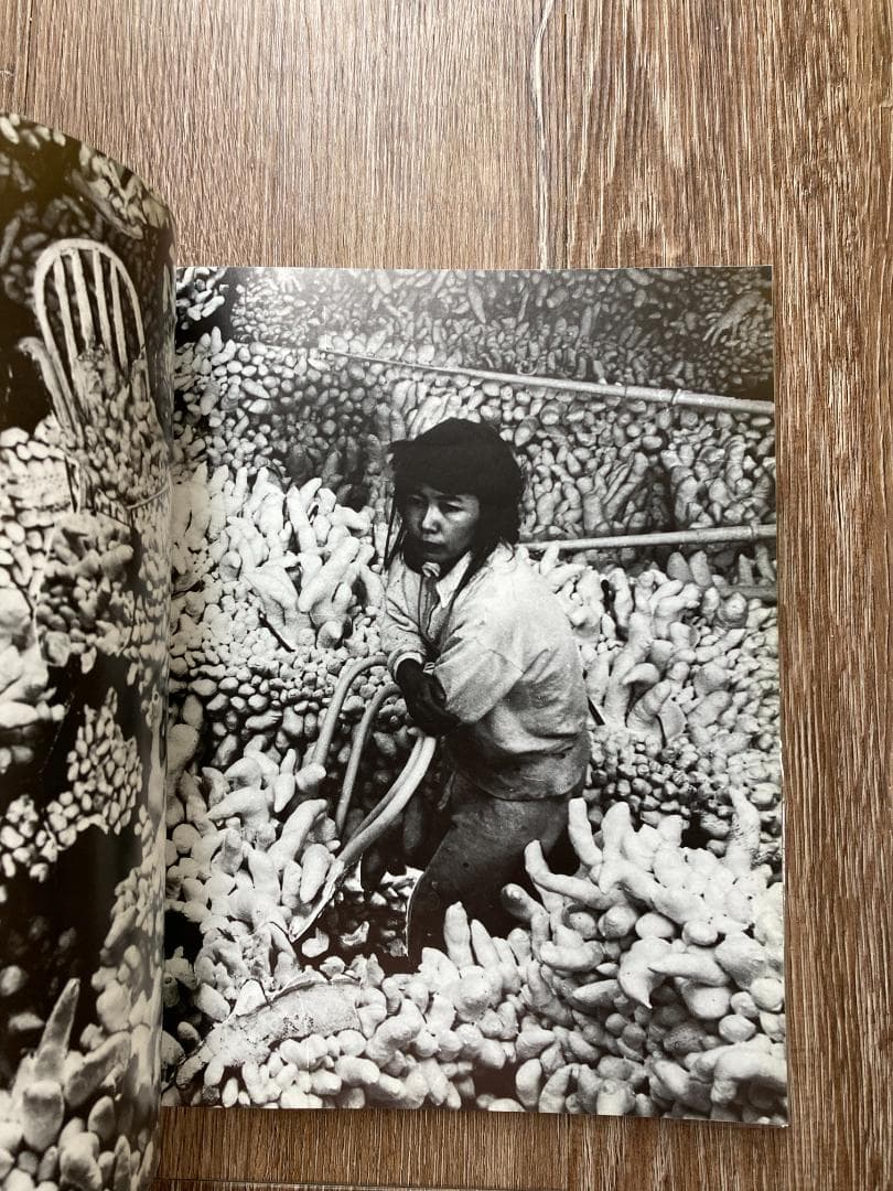 草間彌生／YAYOI KUSAMA「ドライヴィング・イメージ」