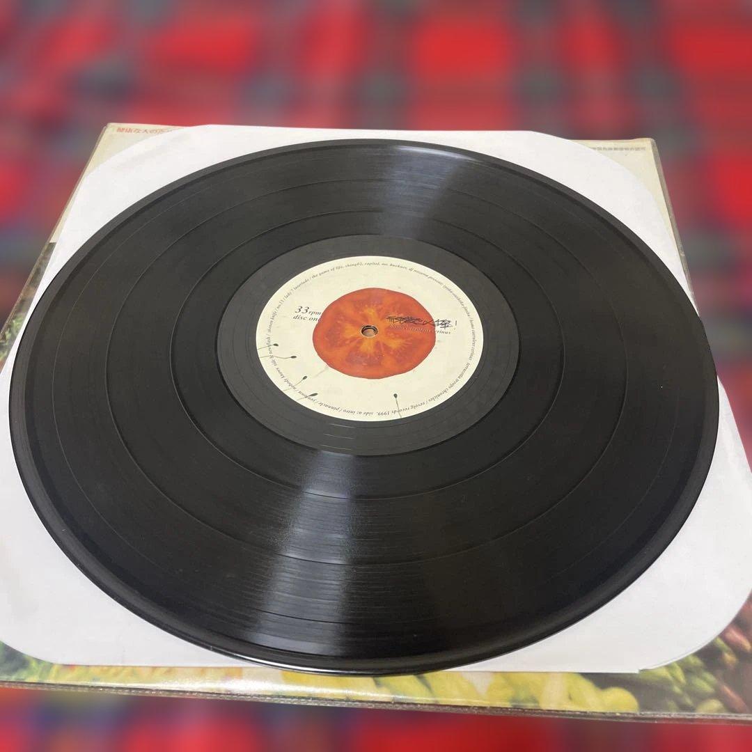 緑黄色人種 SHING02 アナログ盤 2枚組レコード 1999年 オリジナル盤