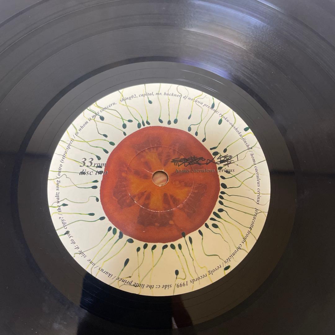 緑黄色人種 SHING02 アナログ盤 2枚組レコード 1999年 オリジナル盤