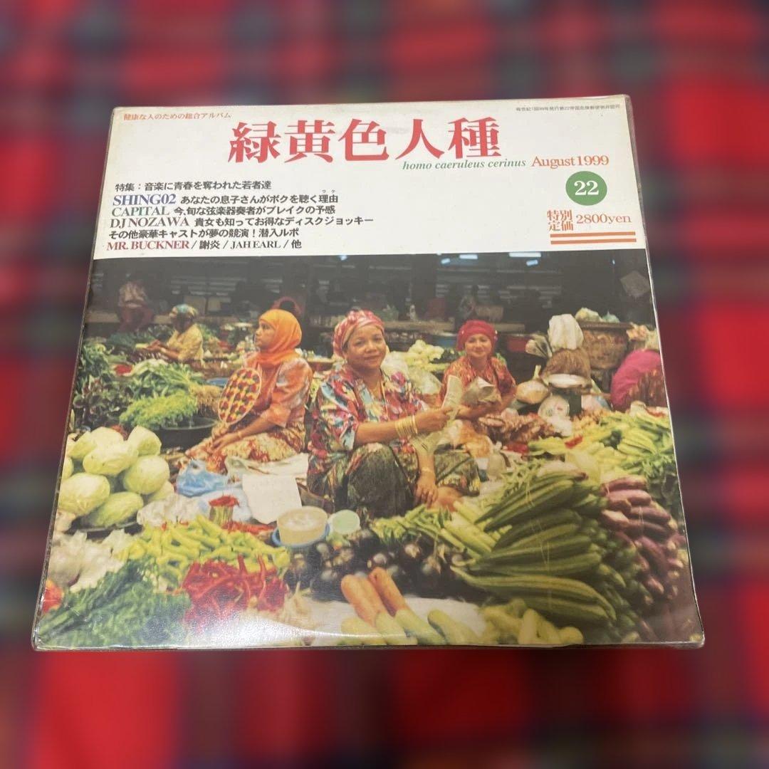 緑黄色人種 SHING02 アナログ盤 2枚組レコード 1999年 オリジナル盤