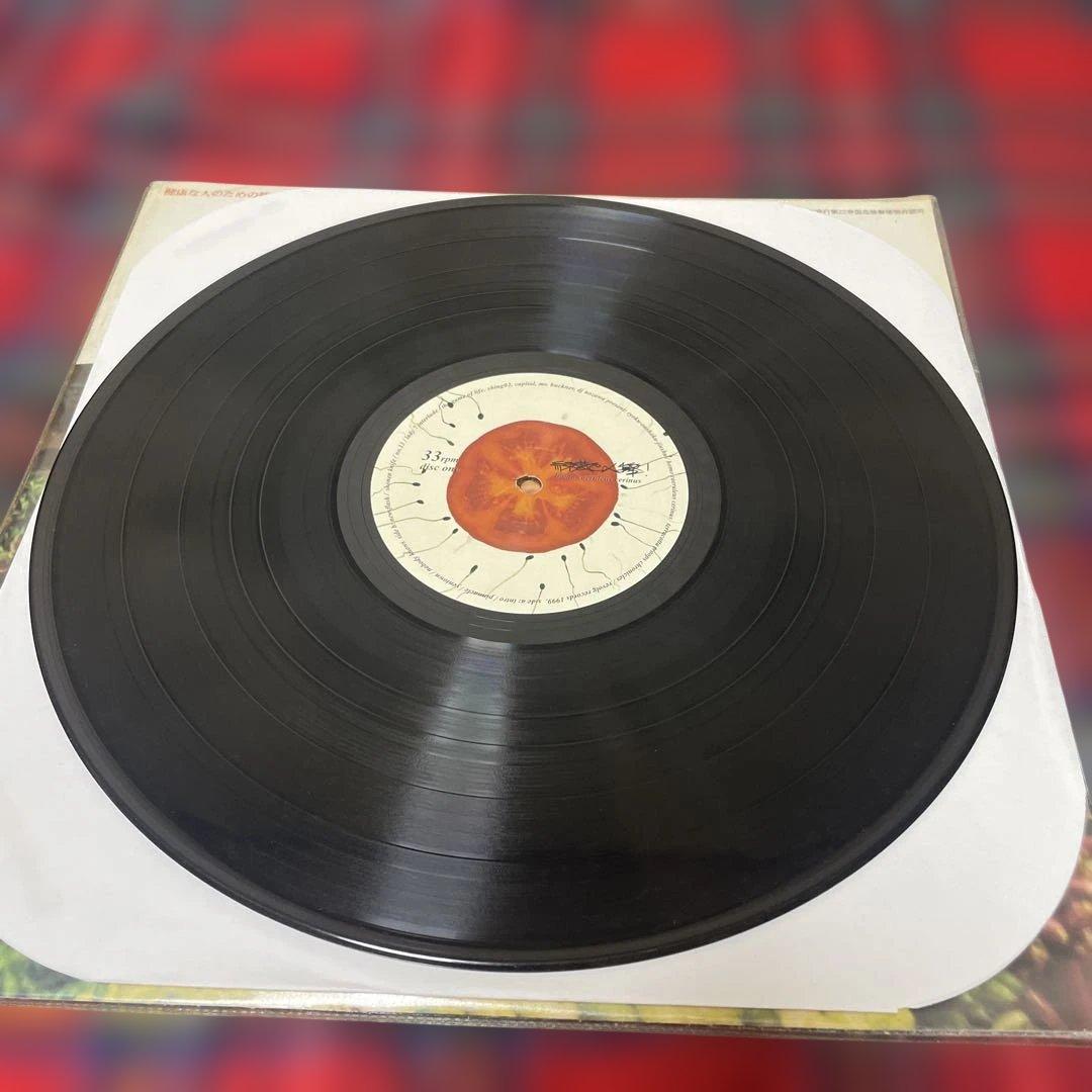 緑黄色人種 SHING02 アナログ盤 2枚組レコード 1999年 オリジナル盤
