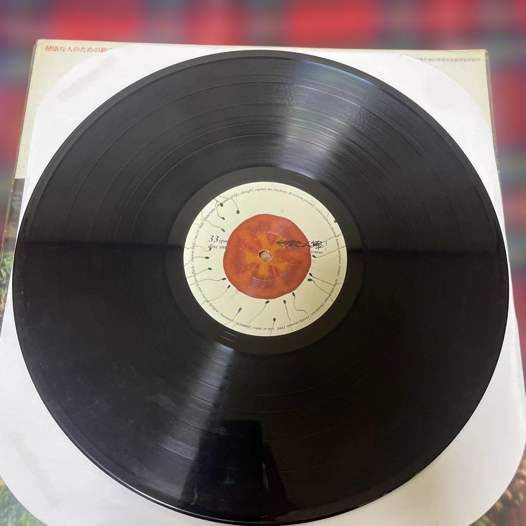 緑黄色人種 SHING02 アナログ盤 2枚組レコード 1999年 オリジナル盤