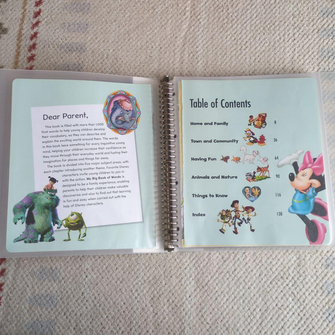 DWE MyBigBookofWords セット売り 絵本 英語 単語