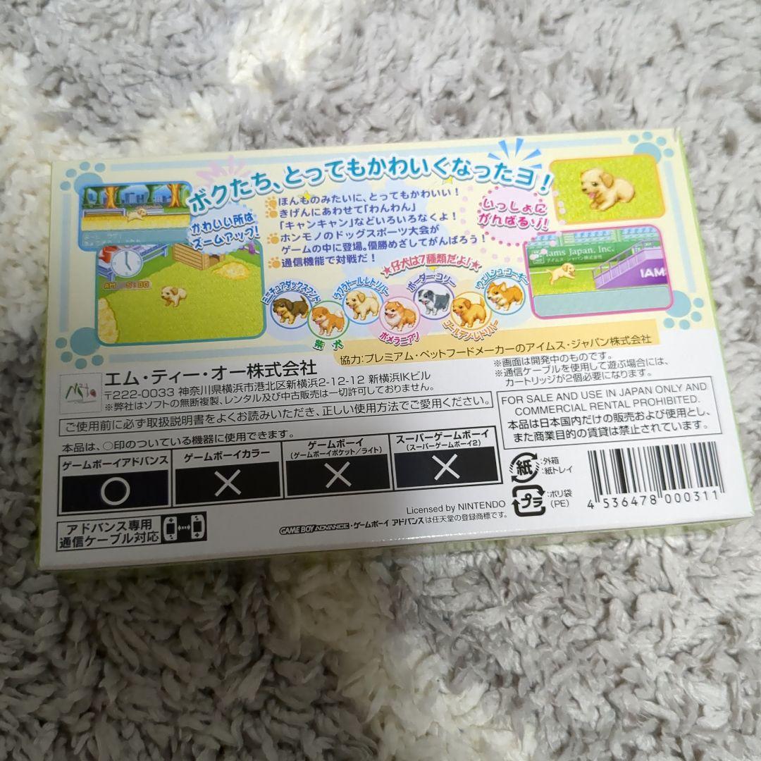 完美品　かわいい仔犬