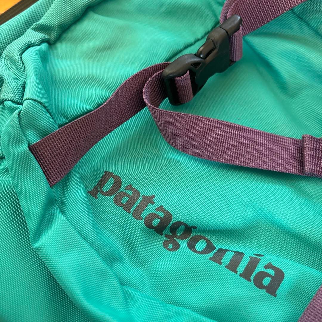 Patagonia アトムスリング 梨花使用