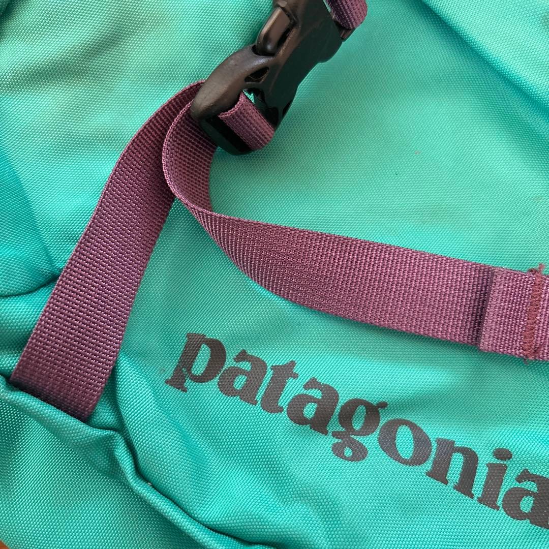 Patagonia アトムスリング 梨花使用