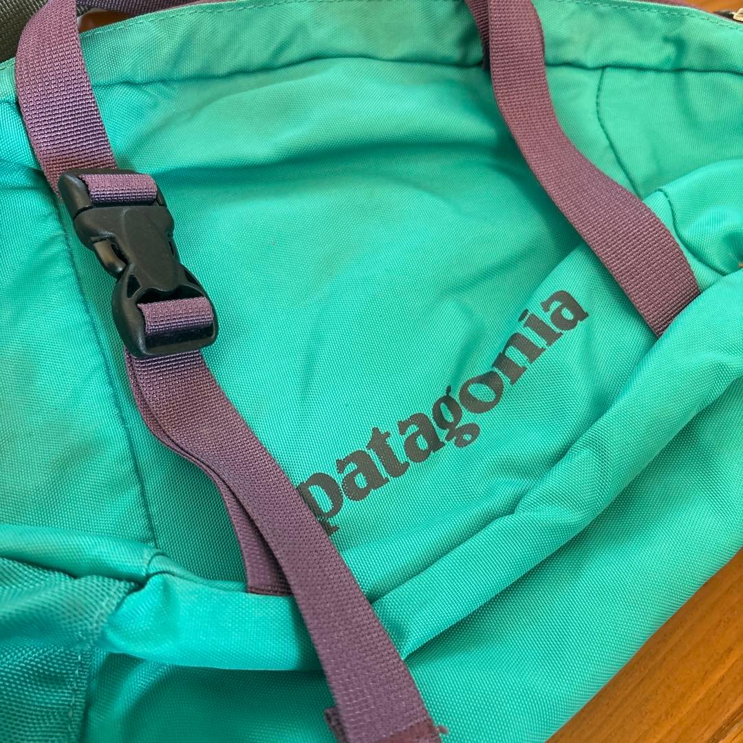 Patagonia アトムスリング 梨花使用